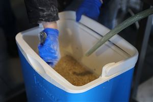 /Gallery/Events/ColonelBeer/Day 1 - 6 .JPG